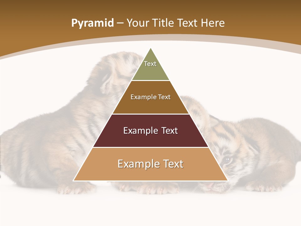 Big Fur Cat PowerPoint Template