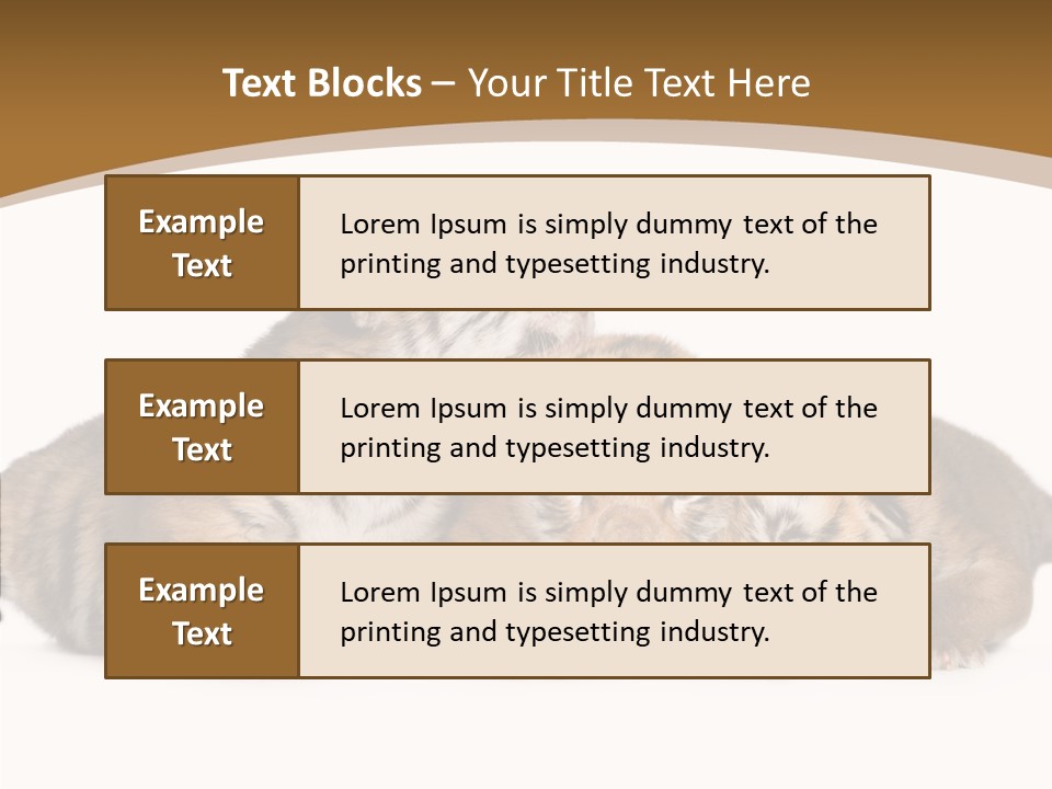 Big Fur Cat PowerPoint Template