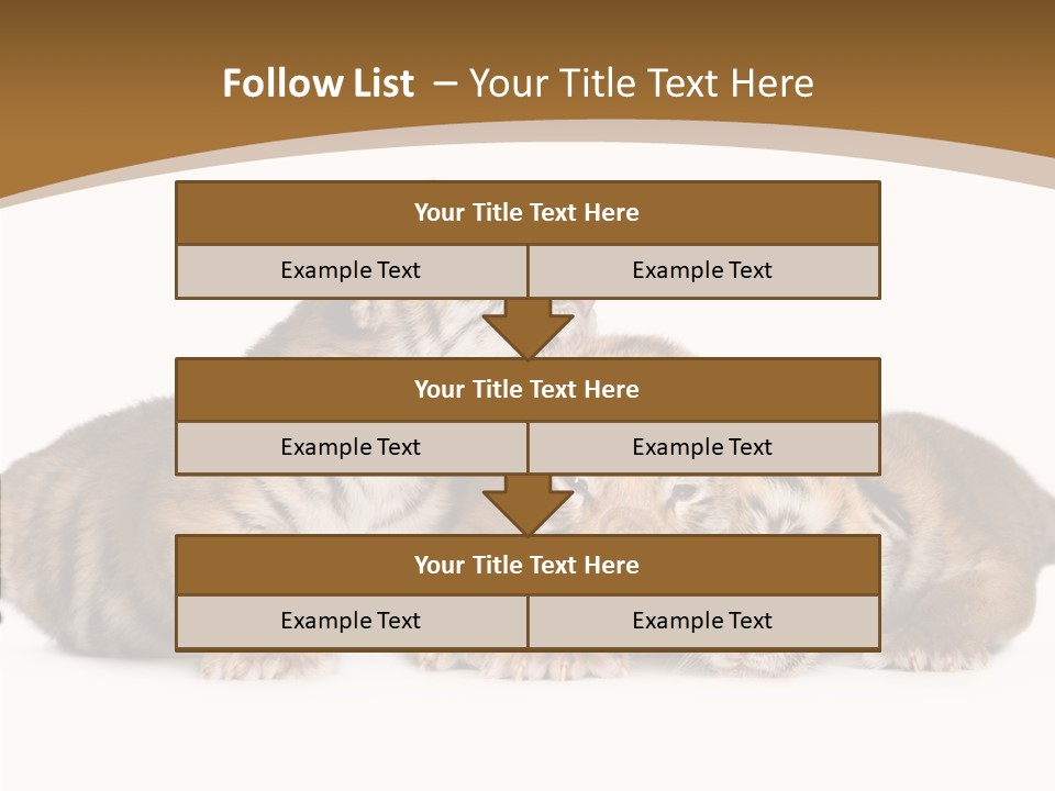 Big Fur Cat PowerPoint Template