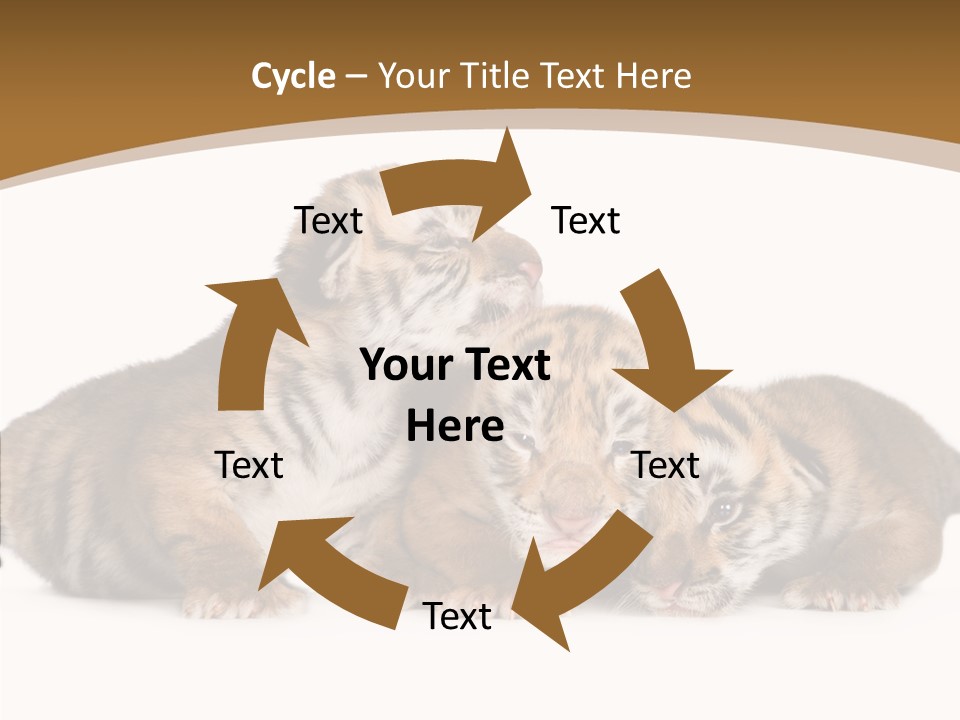 Big Fur Cat PowerPoint Template