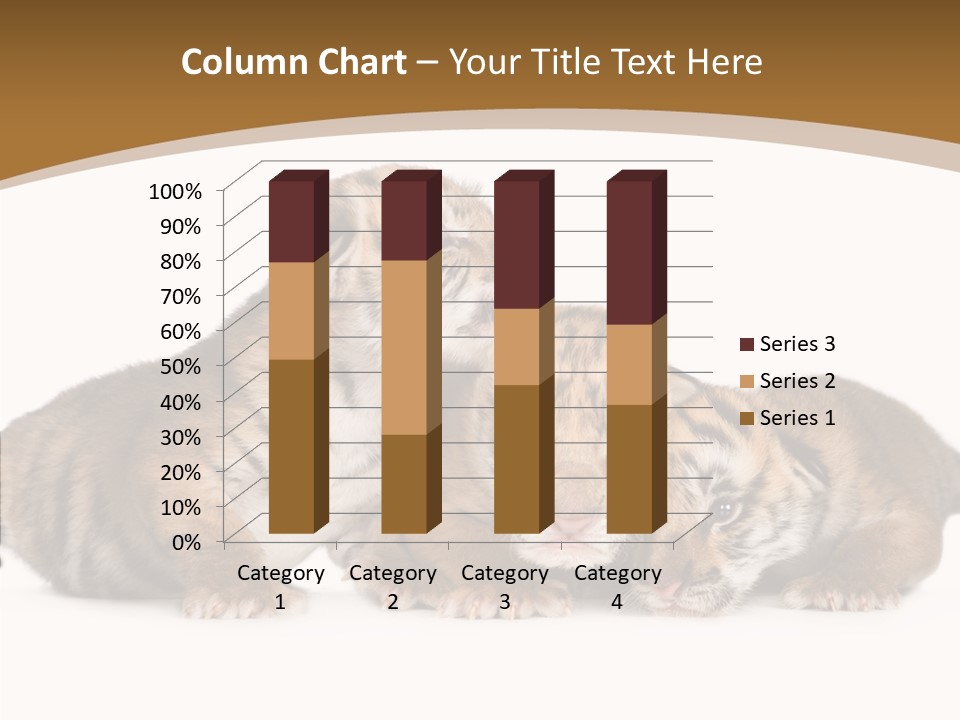 Big Fur Cat PowerPoint Template