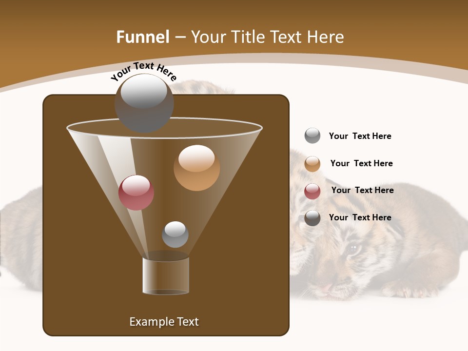 Big Fur Cat PowerPoint Template