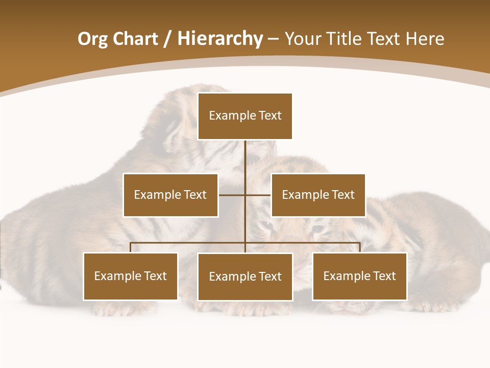 Big Fur Cat PowerPoint Template