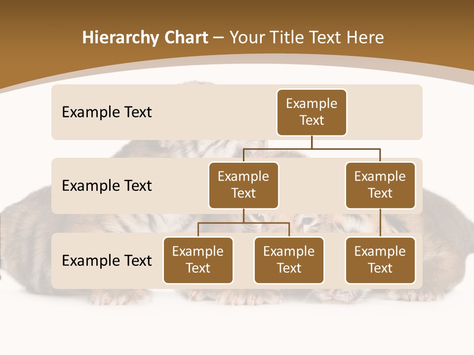 Big Fur Cat PowerPoint Template