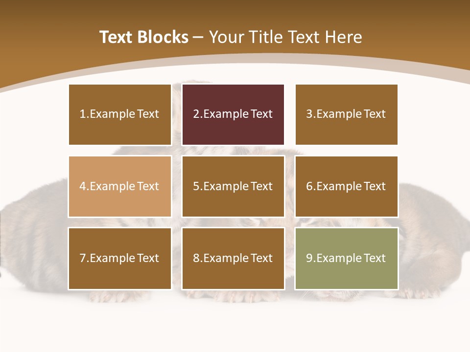 Big Fur Cat PowerPoint Template