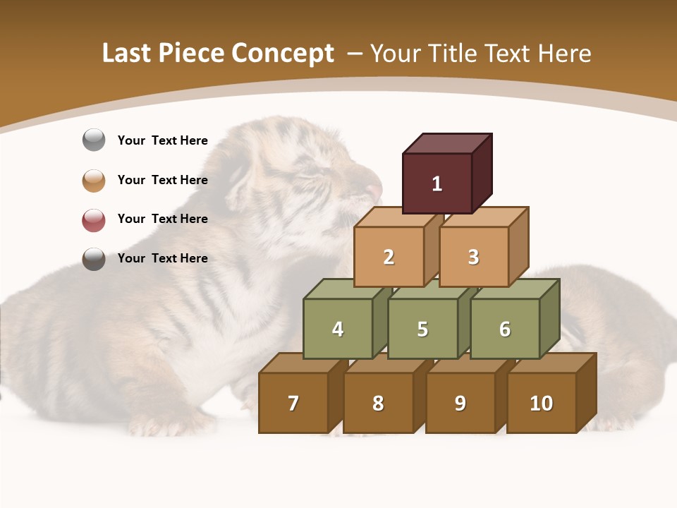 Big Fur Cat PowerPoint Template