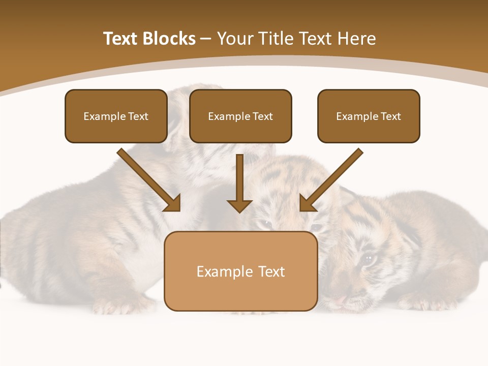 Big Fur Cat PowerPoint Template