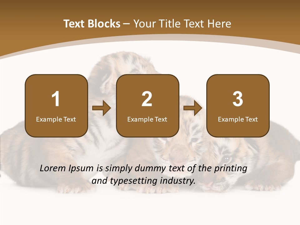Big Fur Cat PowerPoint Template
