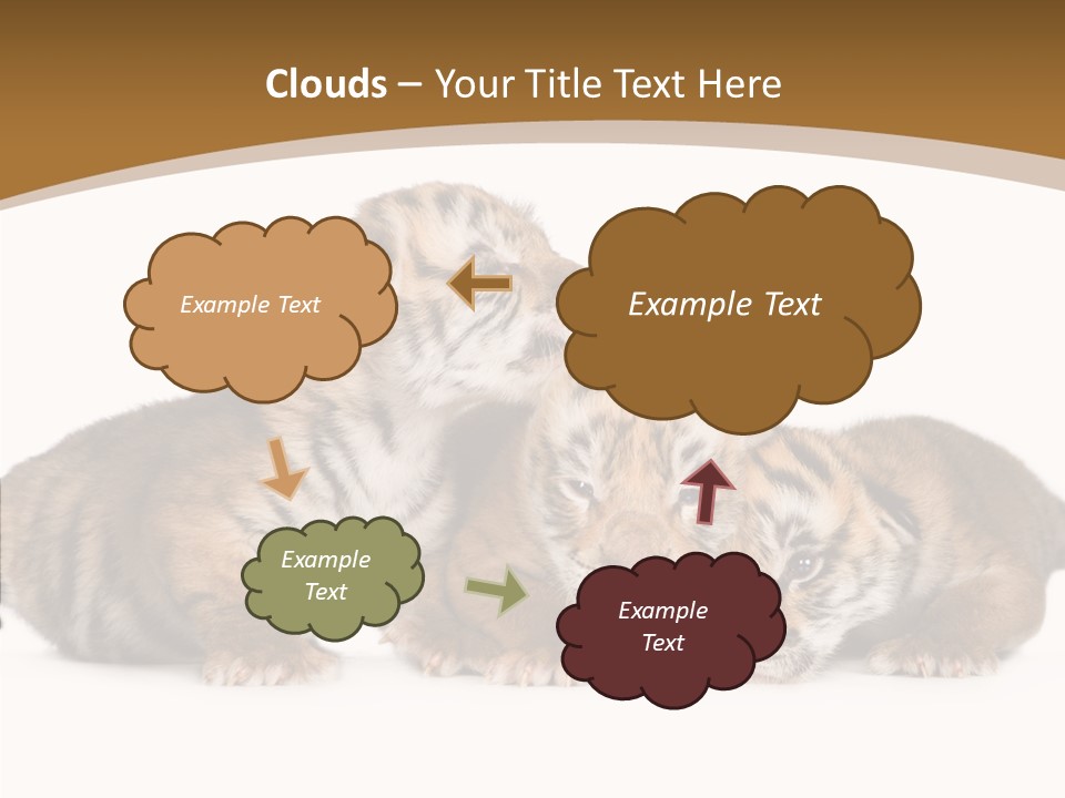 Big Fur Cat PowerPoint Template