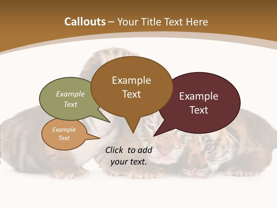 Big Fur Cat PowerPoint Template