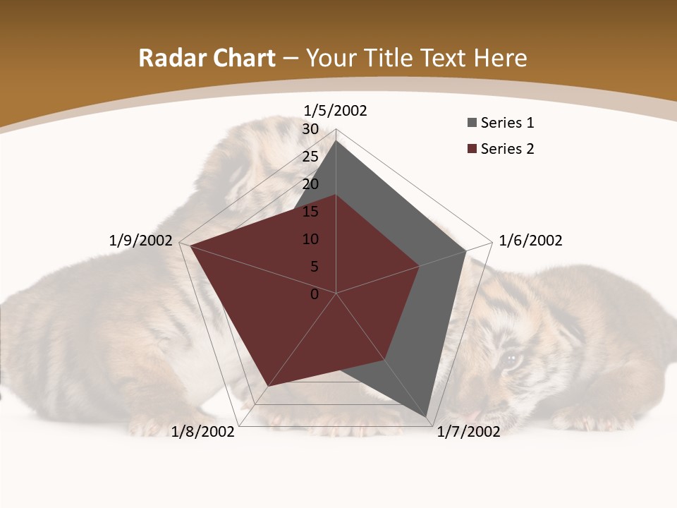 Big Fur Cat PowerPoint Template