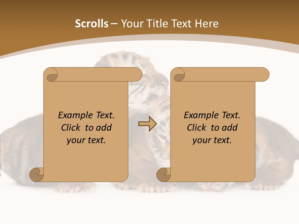 Big Fur Cat PowerPoint Template