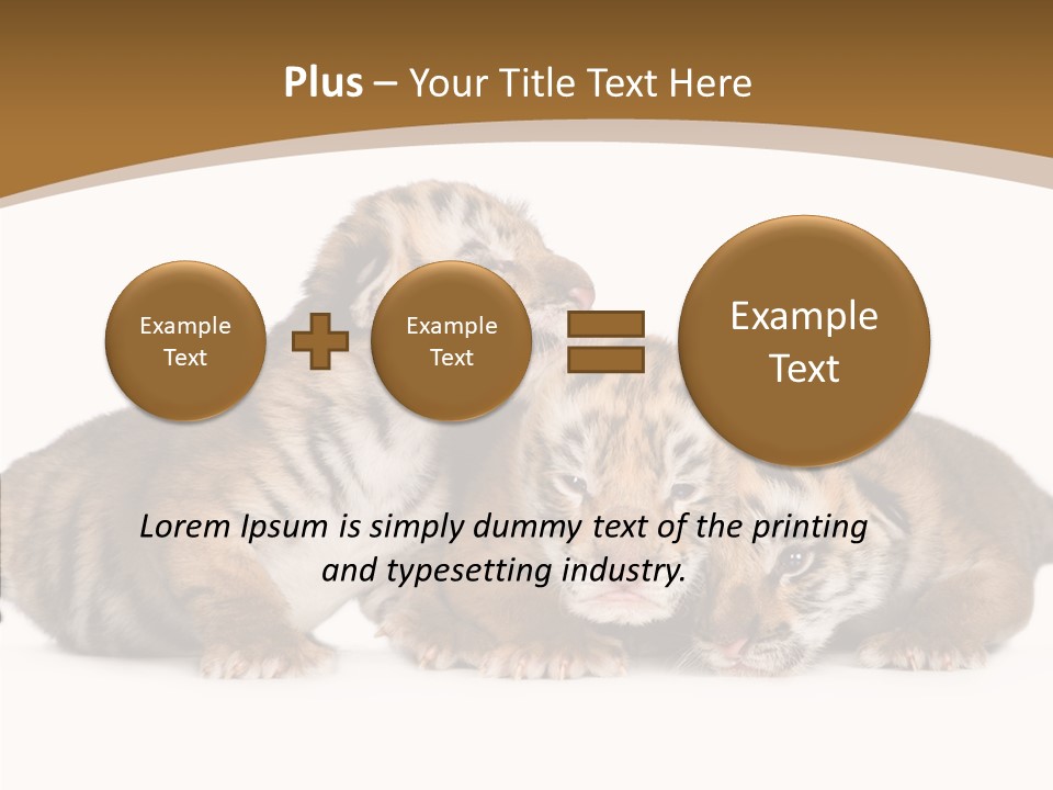 Big Fur Cat PowerPoint Template