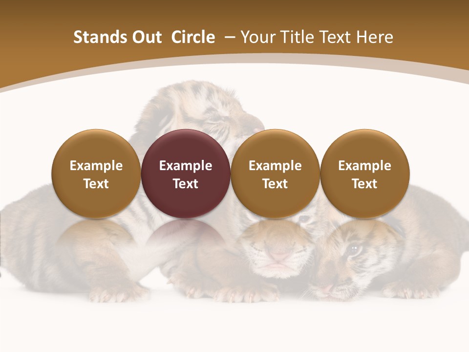 Big Fur Cat PowerPoint Template