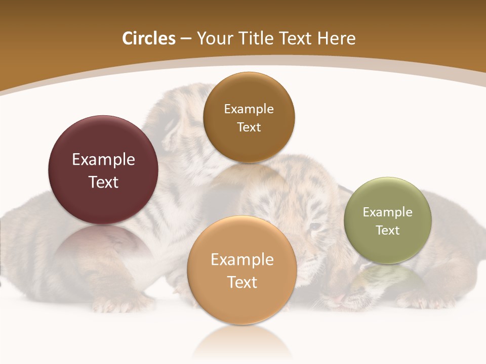 Big Fur Cat PowerPoint Template