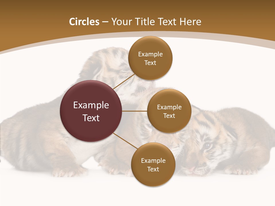 Big Fur Cat PowerPoint Template