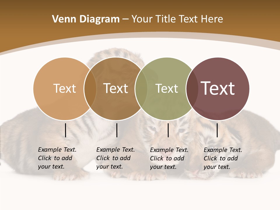 Big Fur Cat PowerPoint Template