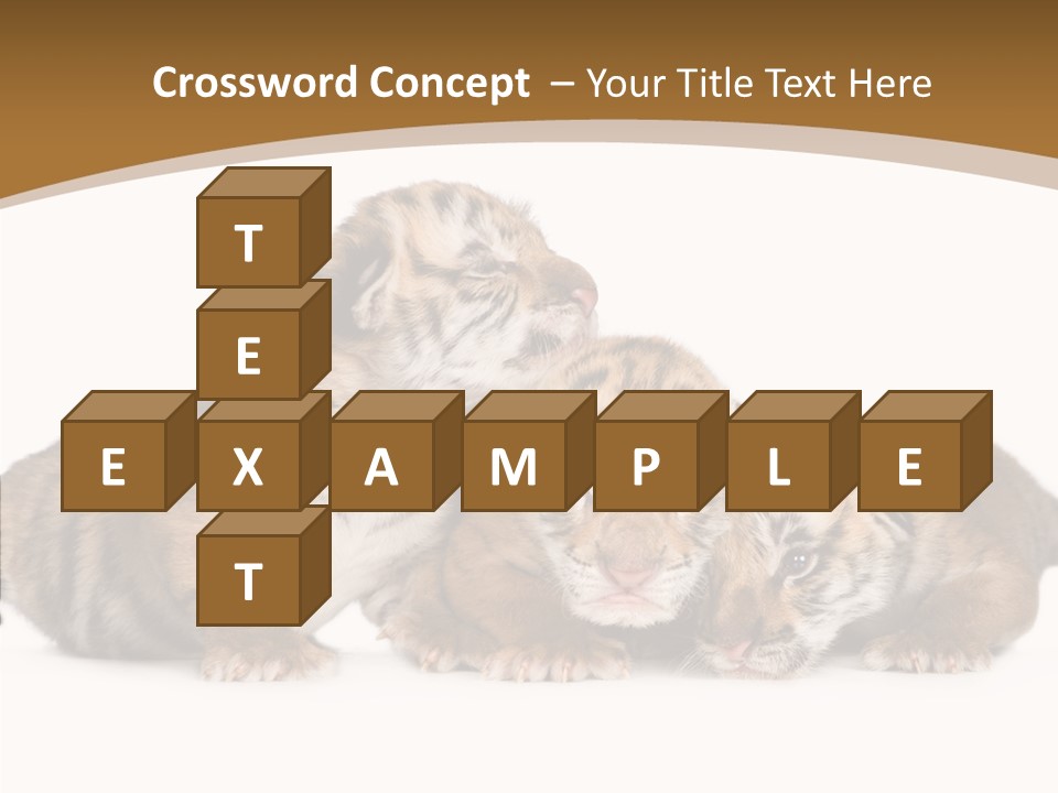 Big Fur Cat PowerPoint Template