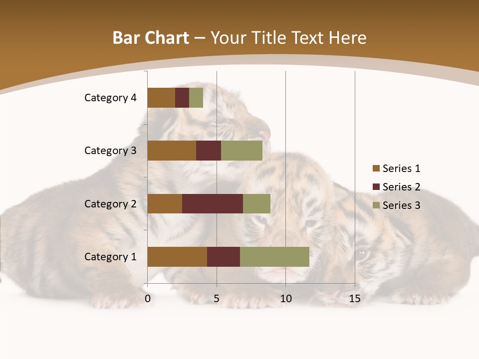 Big Fur Cat PowerPoint Template