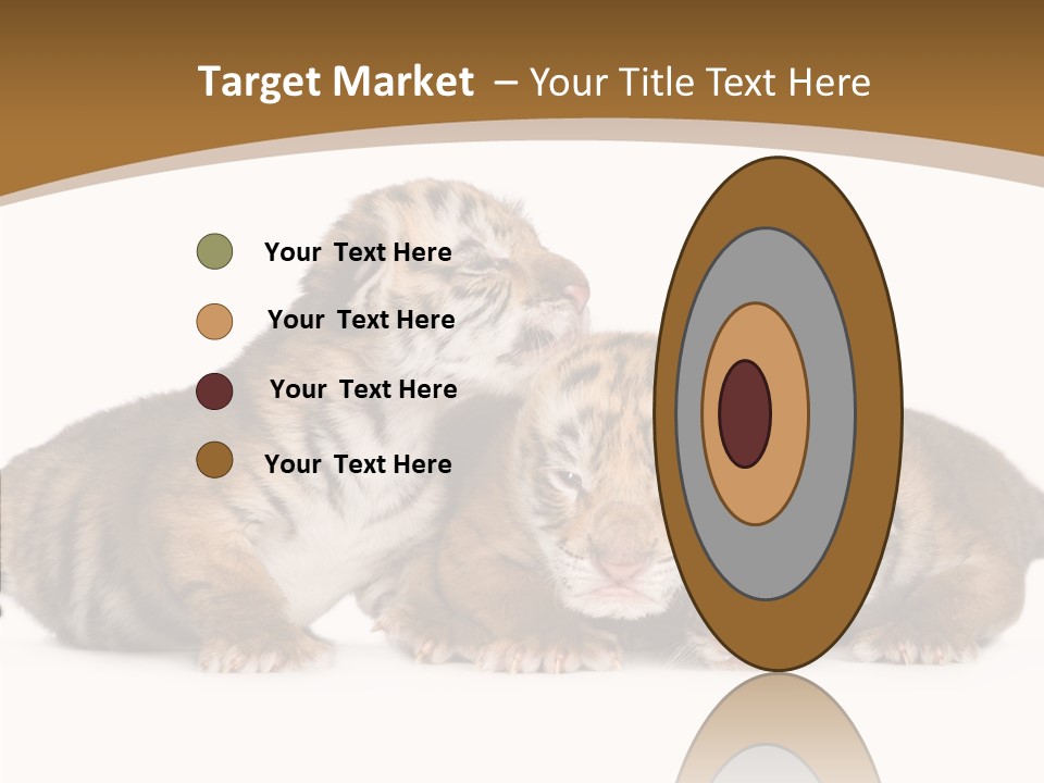 Big Fur Cat PowerPoint Template