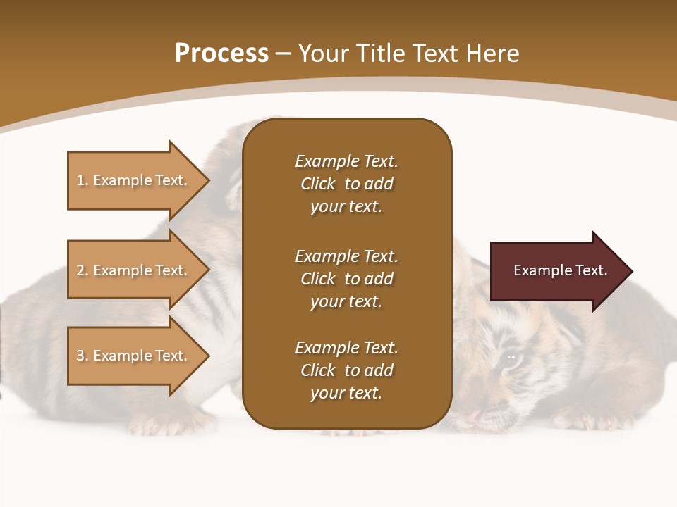 Big Fur Cat PowerPoint Template