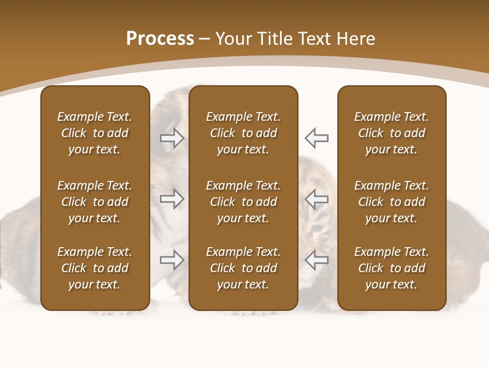 Big Fur Cat PowerPoint Template