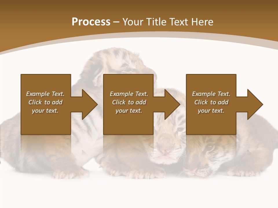 Big Fur Cat PowerPoint Template