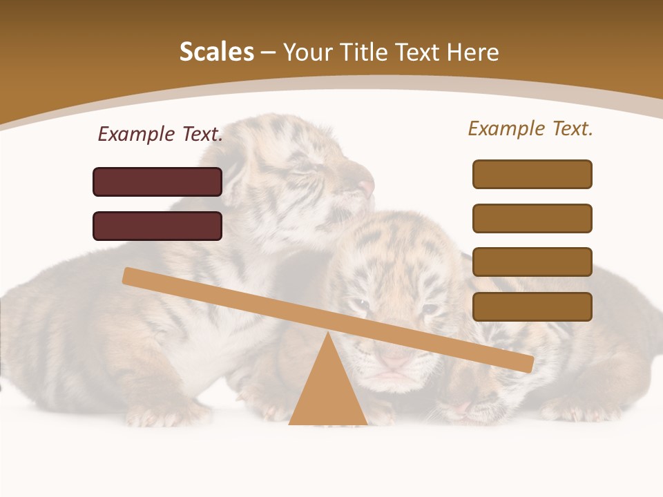 Big Fur Cat PowerPoint Template