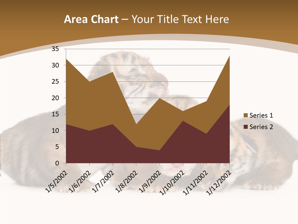 Big Fur Cat PowerPoint Template