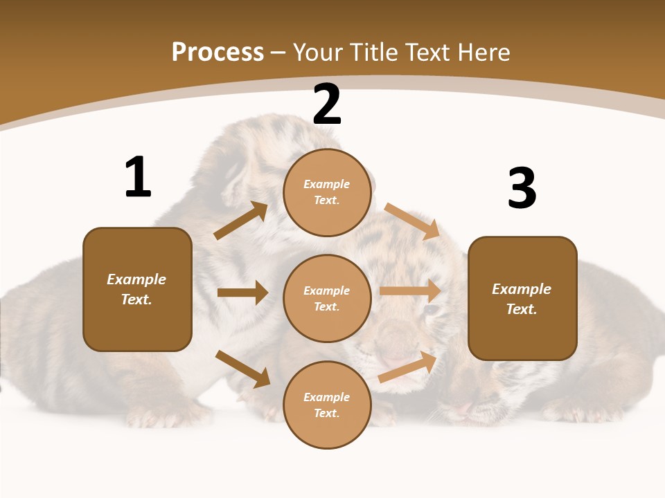 Big Fur Cat PowerPoint Template