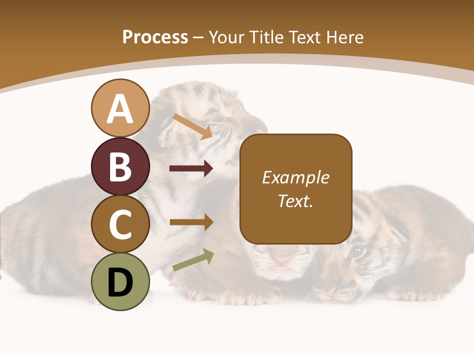 Big Fur Cat PowerPoint Template