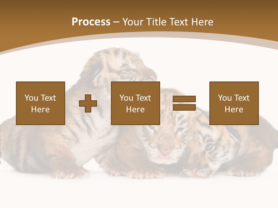 Big Fur Cat PowerPoint Template