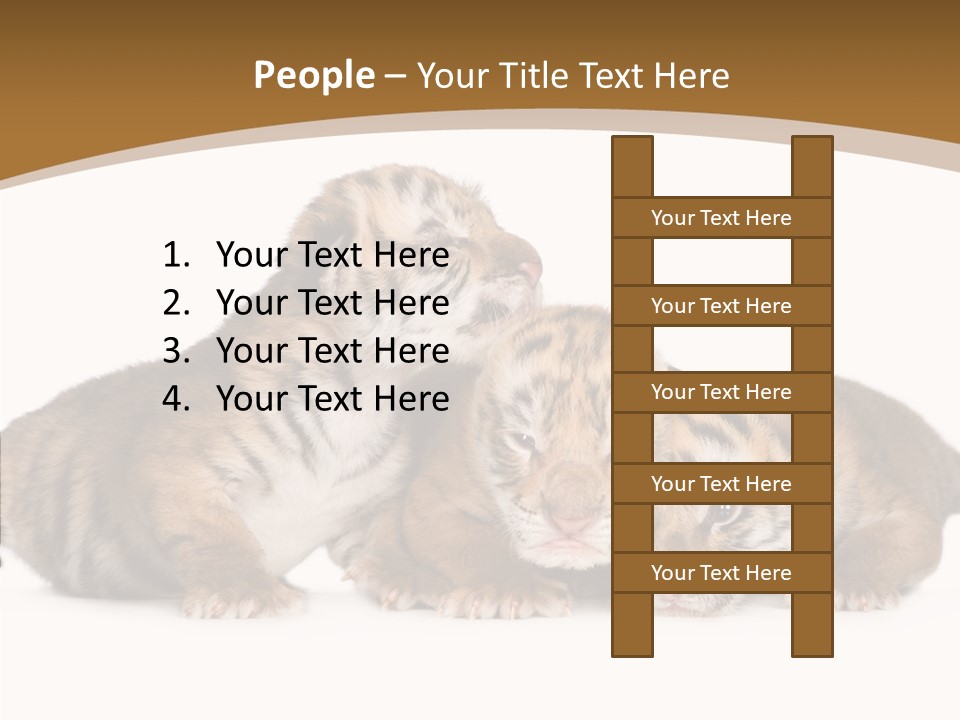 Big Fur Cat PowerPoint Template