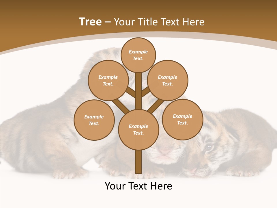 Big Fur Cat PowerPoint Template