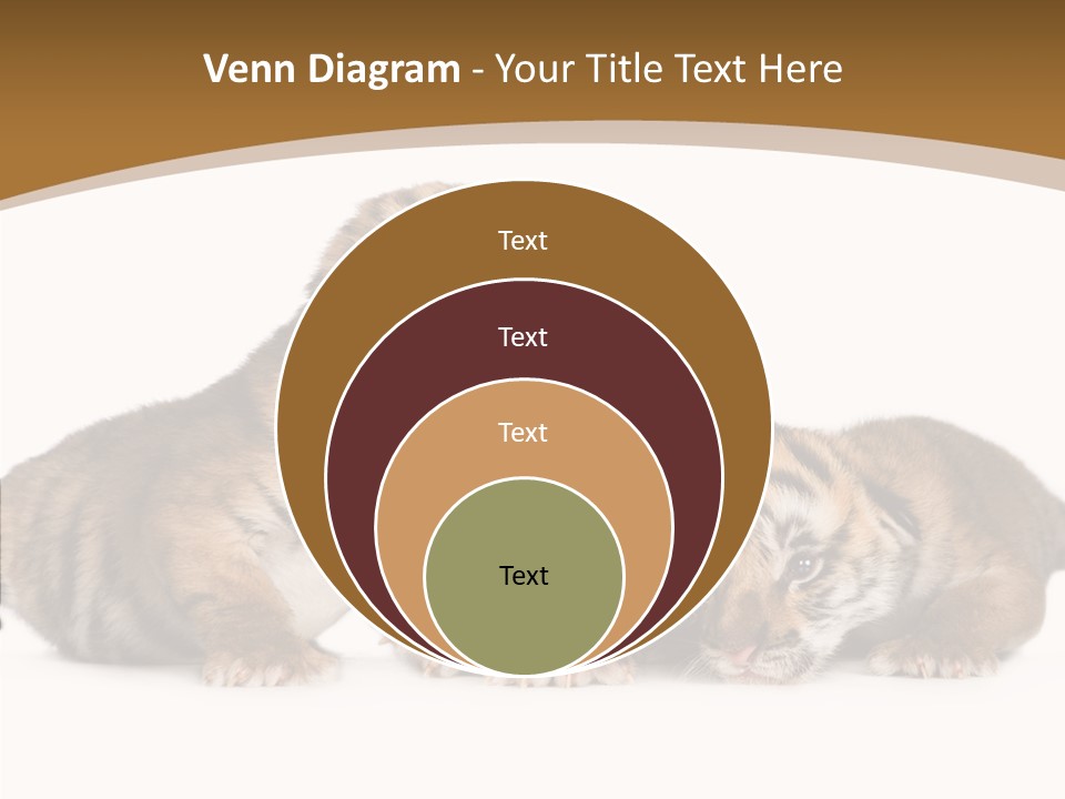 Big Fur Cat PowerPoint Template