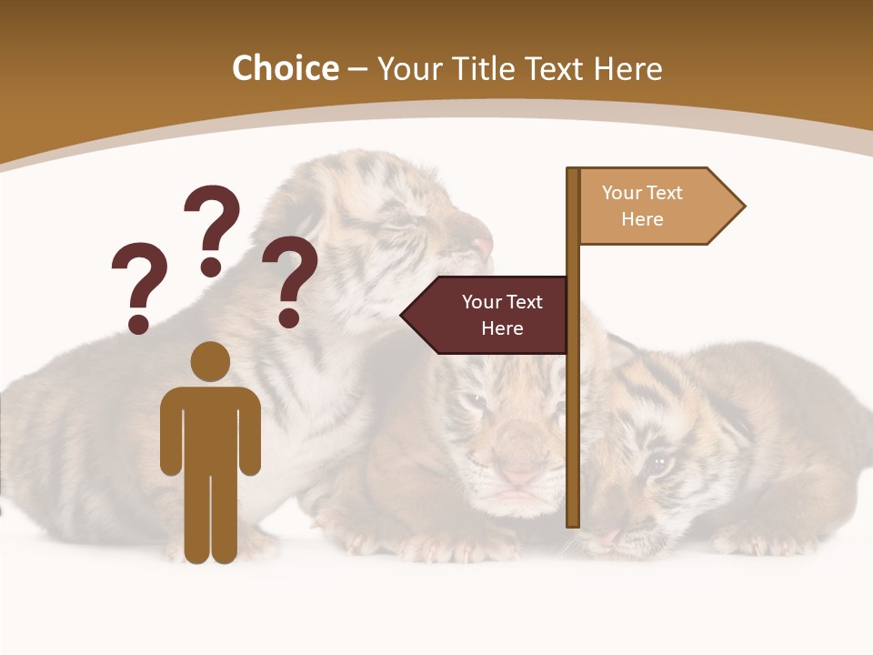 Big Fur Cat PowerPoint Template