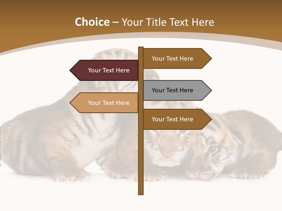 Big Fur Cat PowerPoint Template