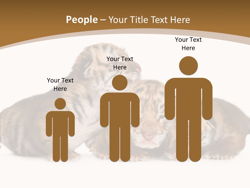Big Fur Cat PowerPoint Template