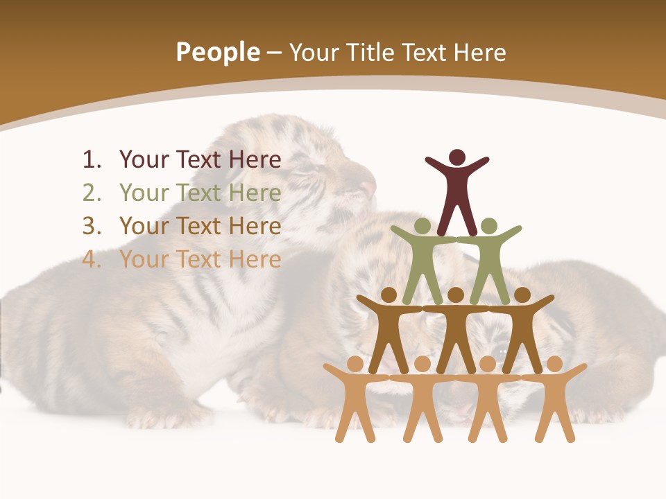 Big Fur Cat PowerPoint Template