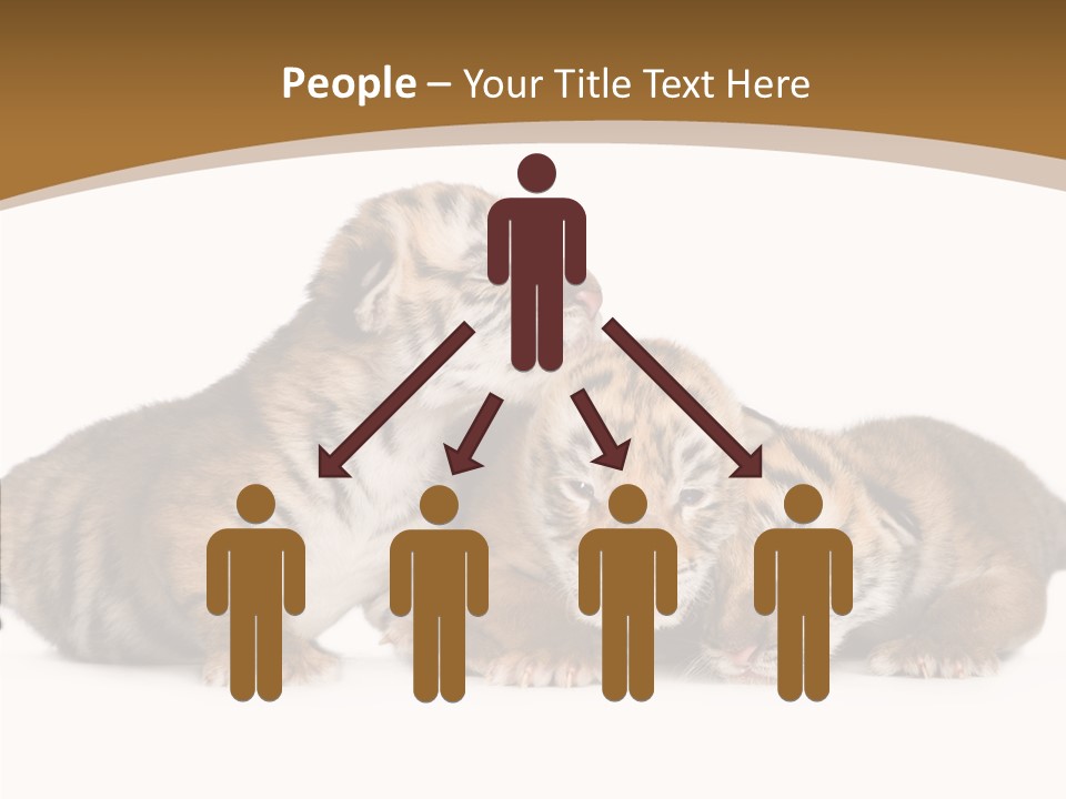 Big Fur Cat PowerPoint Template