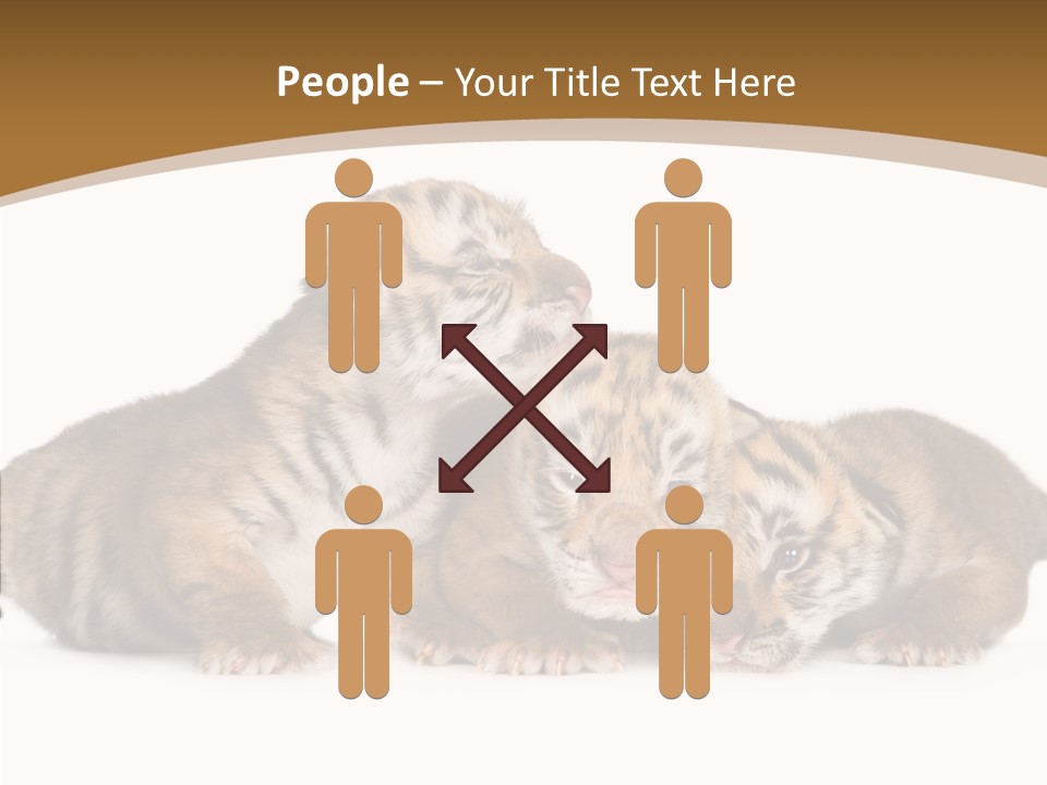 Big Fur Cat PowerPoint Template