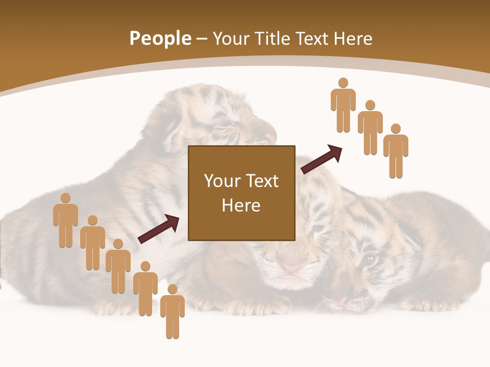 Big Fur Cat PowerPoint Template