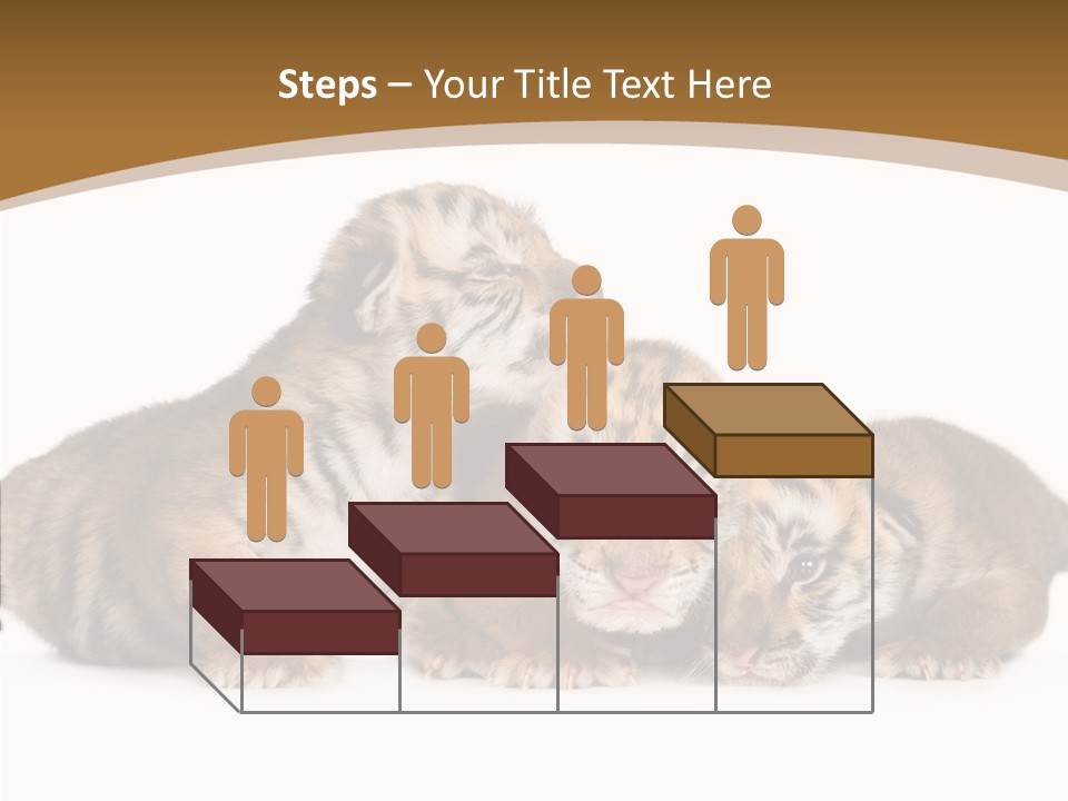 Big Fur Cat PowerPoint Template