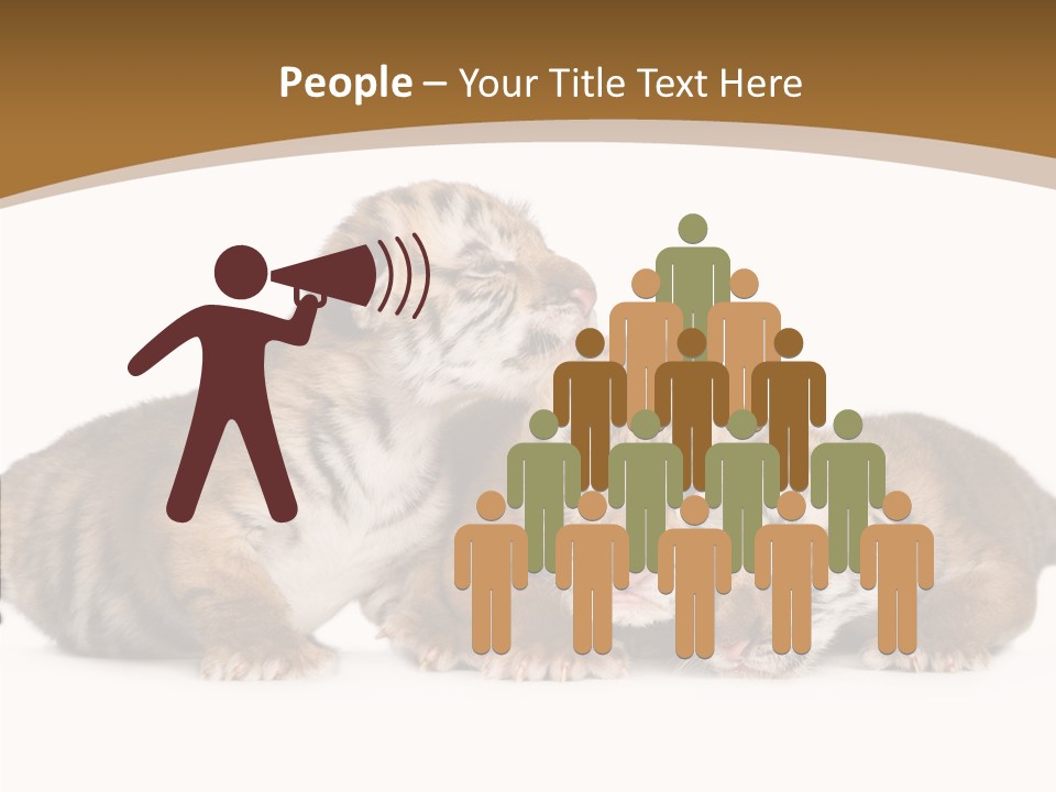 Big Fur Cat PowerPoint Template