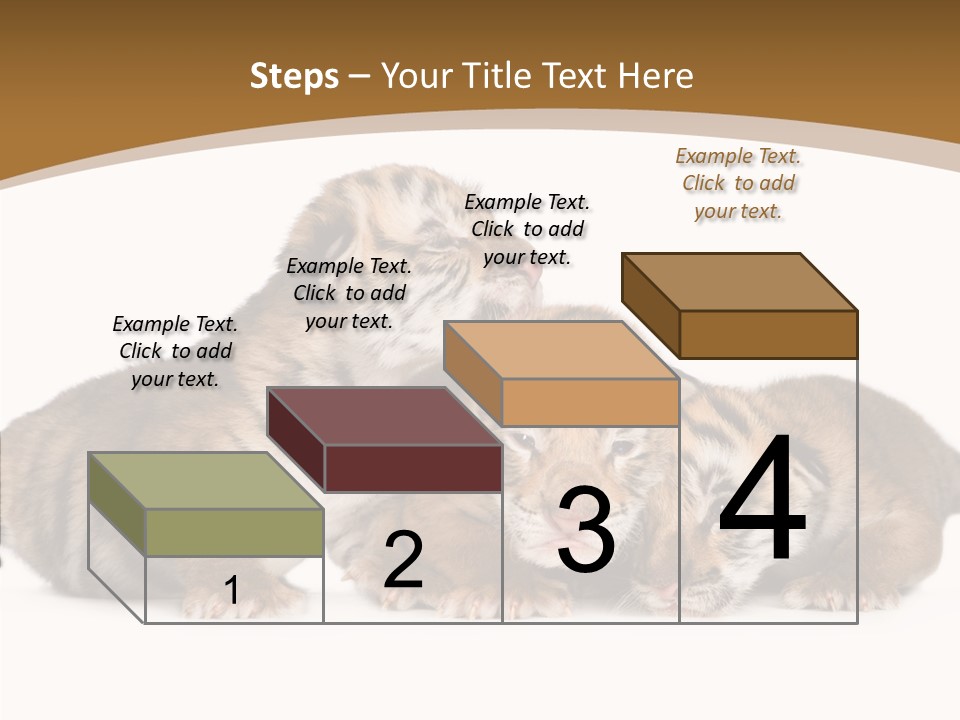 Big Fur Cat PowerPoint Template