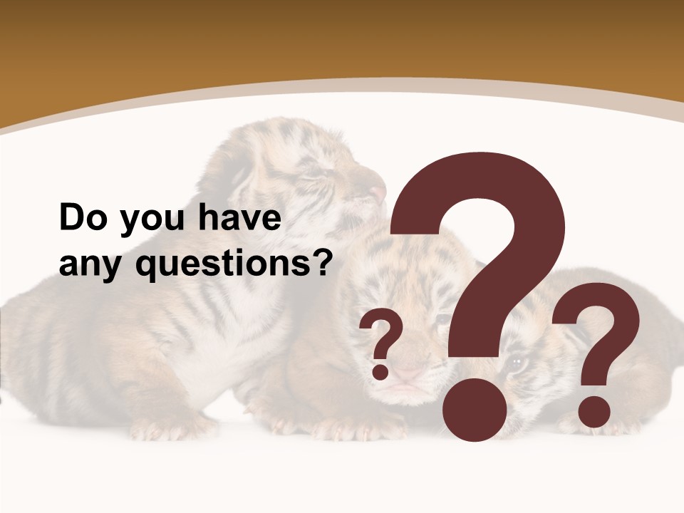 Big Fur Cat PowerPoint Template