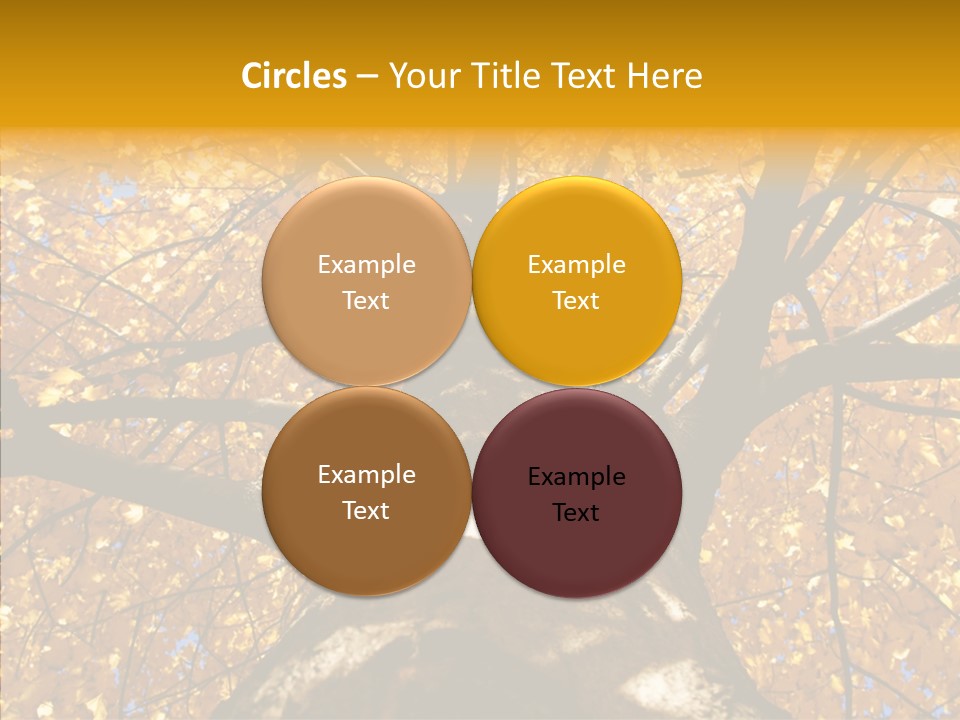 Atlanta Seasonal Maple PowerPoint Template