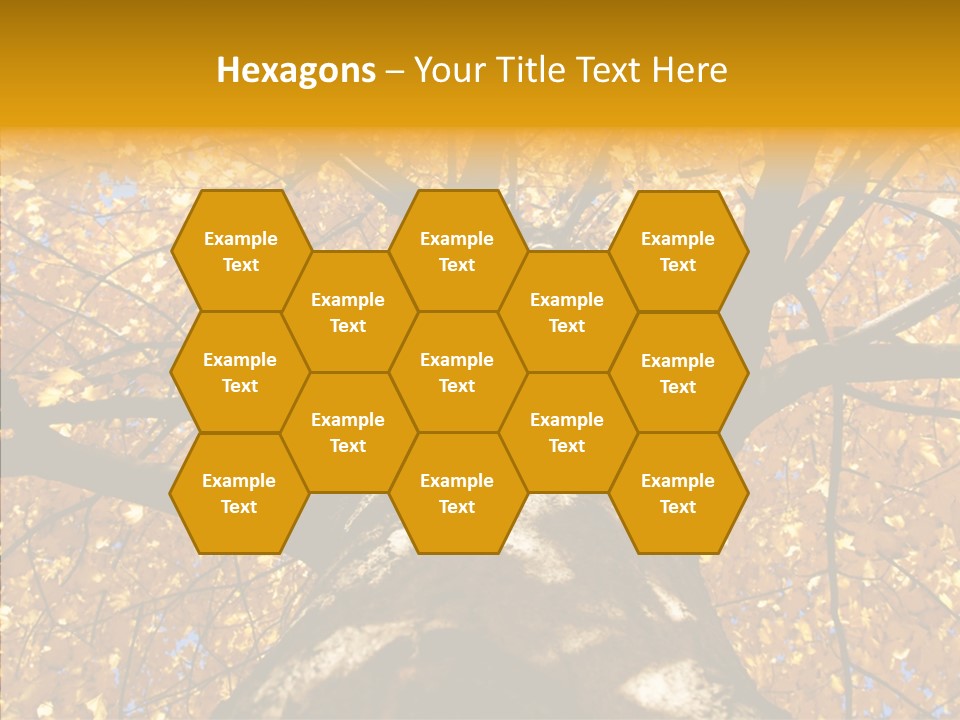 Atlanta Seasonal Maple PowerPoint Template