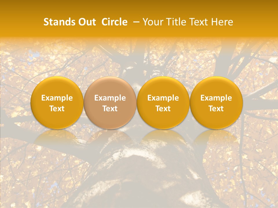 Atlanta Seasonal Maple PowerPoint Template