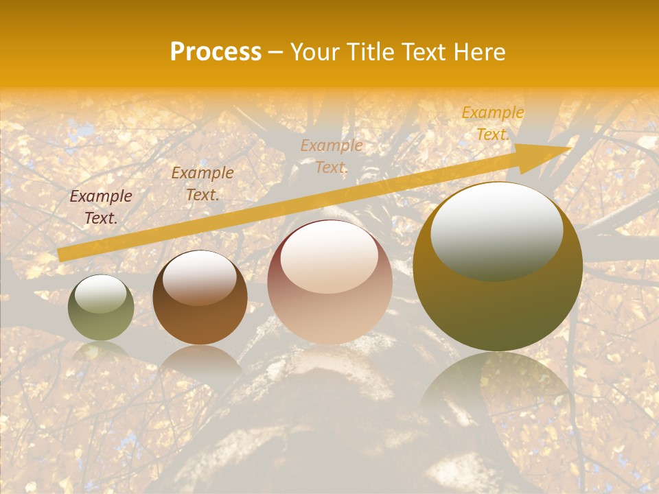 Atlanta Seasonal Maple PowerPoint Template